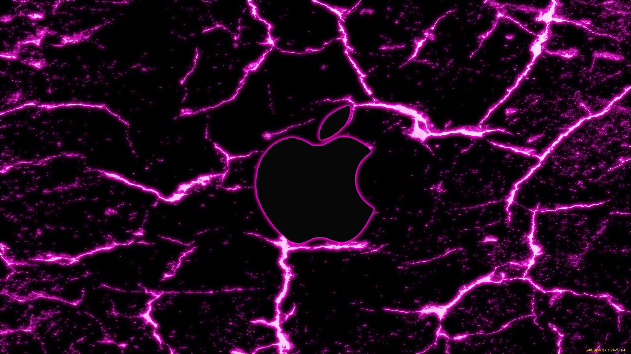 , apple, 
